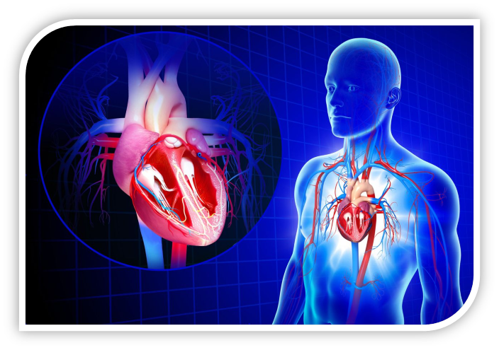 PUASA PADA PASIEN DENGAN PENYAKIT KARDIOVASKULAR (Pertimbangan Medis dan Keamanan Berpuasa)