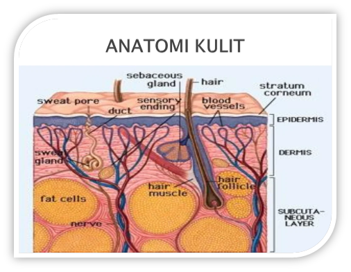 Tips Merawat Kulit Tetap Sehat dan Segar Selama Bulan Ramadhan
